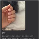 윰네일 - 김해시 경원로73번길 15 | 윰네일