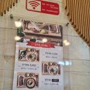 국수나무 세교점 이미지