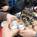 더멍네