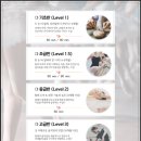 발레(초급) 이미지