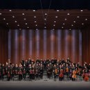 우수공연시리즈II-가족클래식 이상한 나라의 디토 | [25.11.11.] 디오 오케스트라 : 2025월드오케스트라페스티벌 - 대구