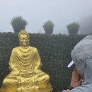 부처샵고기 | 베트남 사파여행, 슬리핑기차, 판시판 식당마사지샵, 모아나사파 등등