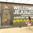 메종 글래드 제주  실외수영장 이미지