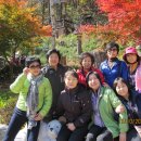 허브목장 이미지