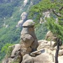 동산여성 이미지