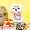 골든캐슬 쇼룸 이미지