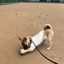 해들유치원 이미지