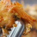 태평양볼테기 이미지