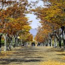 신두왕로 이미지