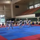 타이거태권도장 이미지