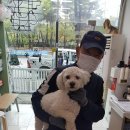 이규보로 이미지