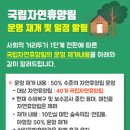 서귀포자연휴양림야영장 이미지