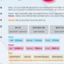 디엠와이