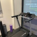 스쿼트게러지 이미지