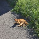 하은물류 이미지