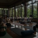 핀다요가 | 소소한핀다 TTC 2기분들의 후기