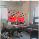 하브루타생각열매연구소 | 경주논술 경주의 보석, 하브루타 생각열매 연구소 후기