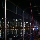 갈매기회타운 이미지