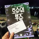 견우와 직녀 | 호수 위 불꽃쇼로 만나는 견우와 직녀, &#39;호수위우주&#39; 관람 후기 (현장예매&amp;할인 정보)