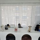 멈무는하루 이미지