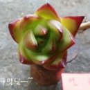 백봉한의원 이미지