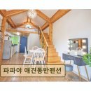 41190-01-07-169 | 경주 애견동반 펜션 파파야 애견동반펜션 반려견과 편안한 휴식 공간