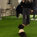 주식회사 견생상점 이미지