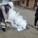 시가지도 이미지