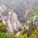 이재옥농장 이미지