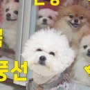 복호농장 네이버블로그