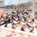 갤러리안경 이미지