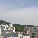 성지부동산 공인중개사사무소 이미지