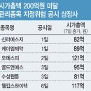 비엘칩스