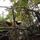 섬강농원 이미지