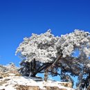 제491차 정기산행 설경이 아름다운 계룡산으로 힐링하러갑니다. 이미지