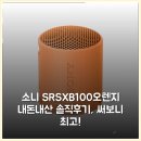 오렌지버튼 | 소니 SRS-XB100(오렌지) 내돈내산 솔직후기, 써보니 최고!
