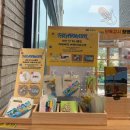 기지포 | 태안 안면도 아이랑 여행 : 태안기념품 마그넷 로컬푸드직매장, 기지포 피크닉 후기