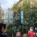 장전1038 이미지