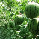 명품태권도장 이미지