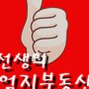 엄지부동산공인중개사사무소 이미지