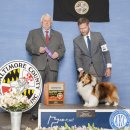 여주켄넬 이미지