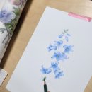 아름다운 꽃 그림 보타니컬아트 이미지