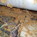 GS25태전중석점 이미지