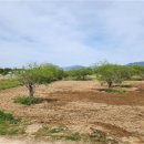 비엔케이 이미지