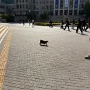 스터디홀덤 | AAA
