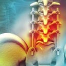 수원고려본정형외과의원 이미지