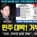 민주 대박, 거부권 무력화 이미지