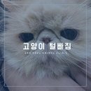 좋은 친구들 동물병원 이미지