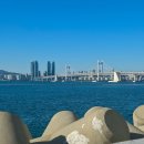 배스킨라빈스부산정관점 | 24시간이 모자라 2025년 11월 일상 기록