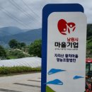 지리산황치마을영농조합법인 이미지